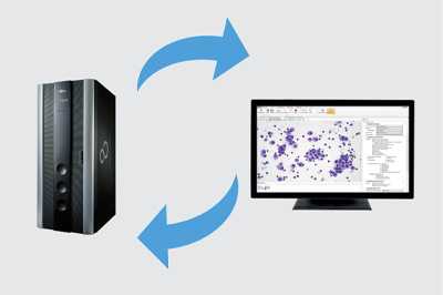 Preset cytology analysis algorithm