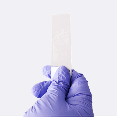 Scan the barcode on a standard slide
75x25x1 mm with adhesive tape Scan the barcode on a standard slide
75x25x1 mm with adhesive tape