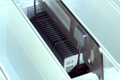 Place slides into the stainer holder