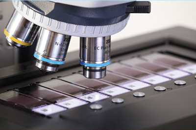 Obtain uniformly stained samples